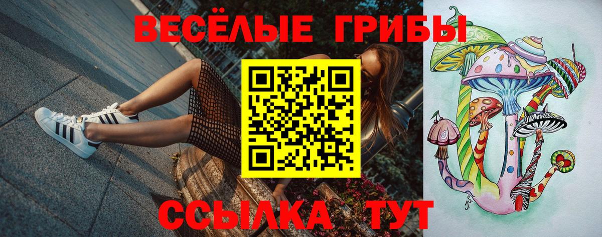 Галлюциногенные грибы мицелий Миасс